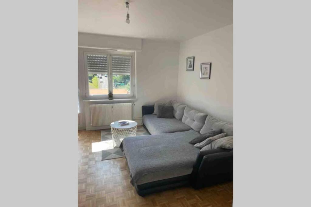 Très bel appartement F4 proche gare Riedisheim Extérieur photo